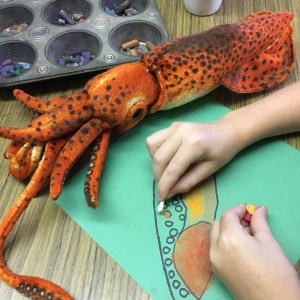 Students create observational drawings using chalk pastel.